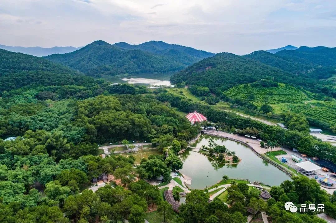 绿地樾湖小镇(图9)